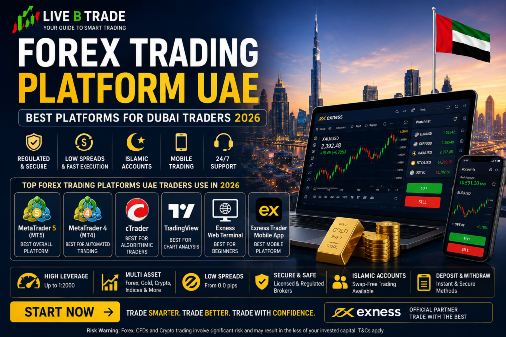 Forex Trading Platform UAE